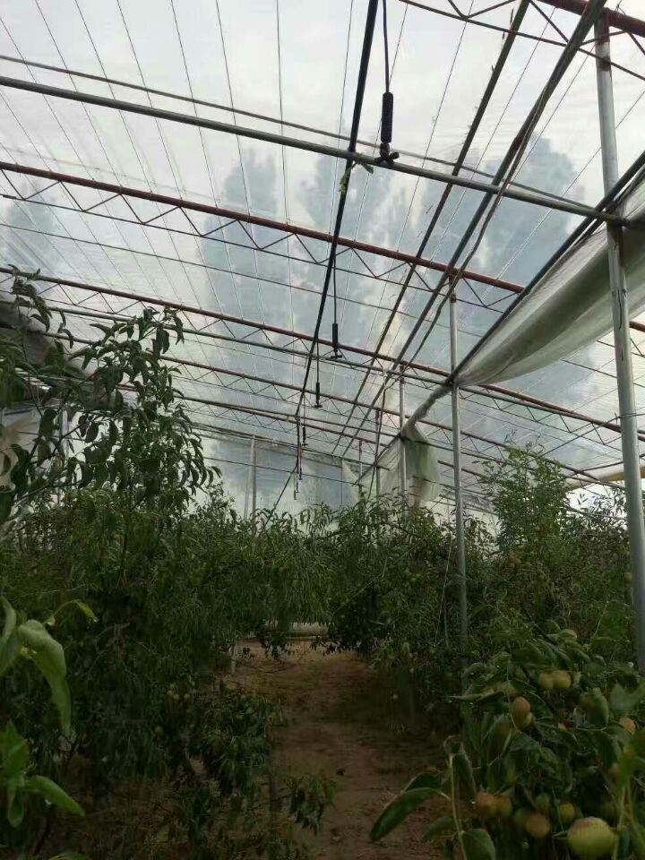 吊挂微喷