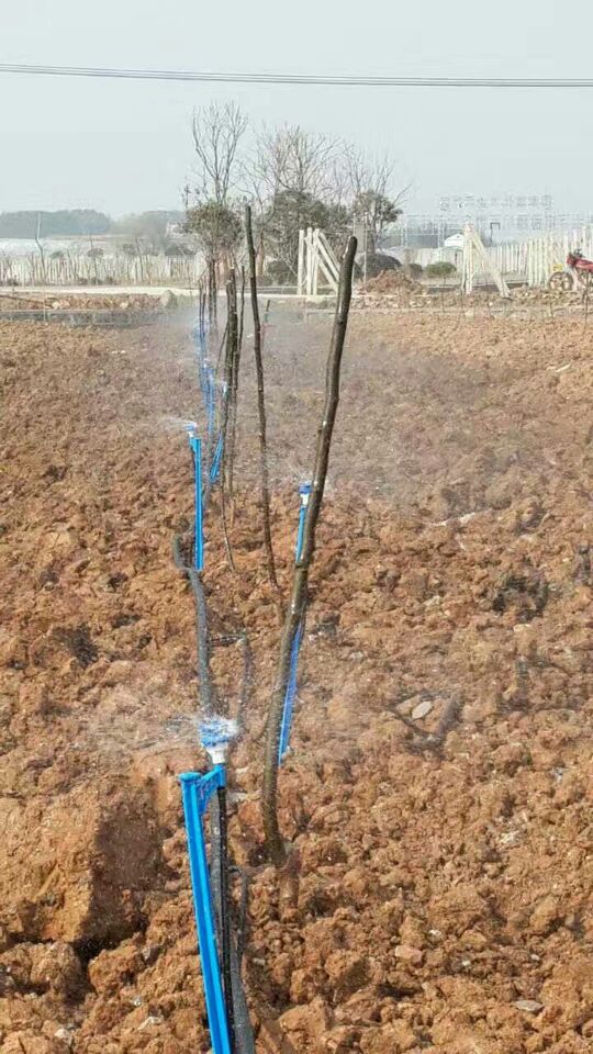 地插微喷
