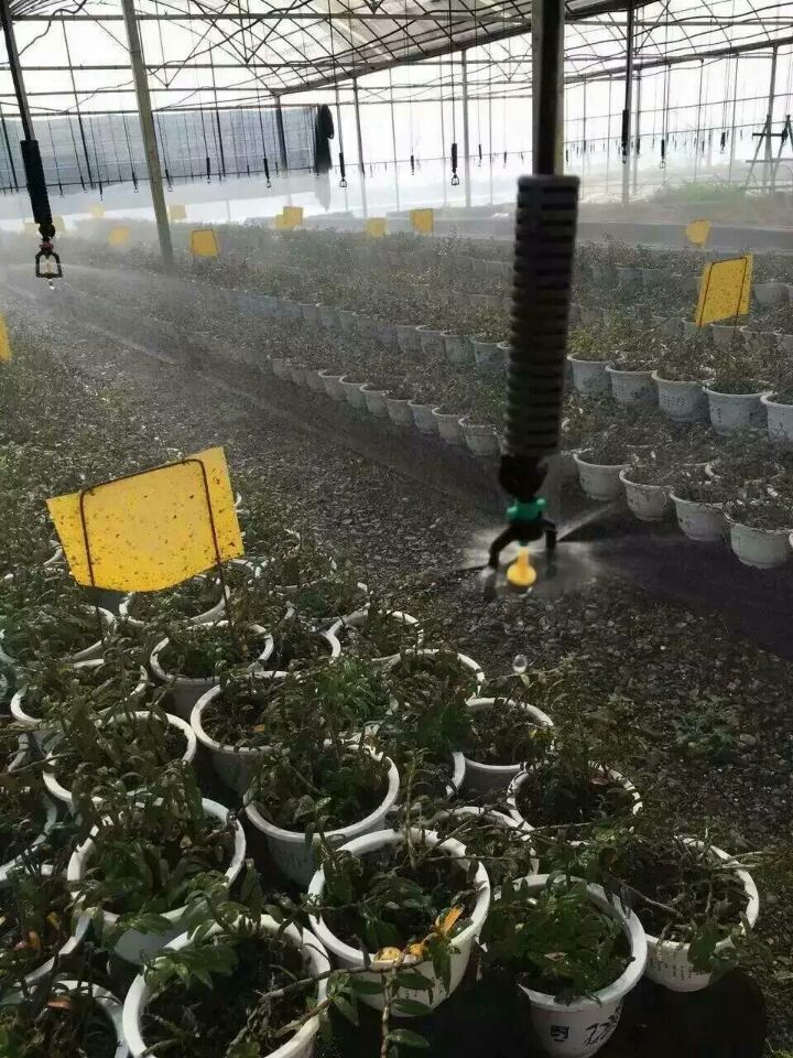 花卉吊挂折射雾化喷头